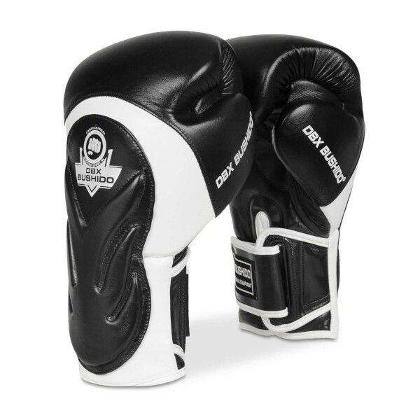 Boxerské rukavice DBX BUSHIDO BB5 12 oz 