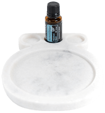 Živicový podnos na oleje s Northern Escape Doterra (15 ml) 