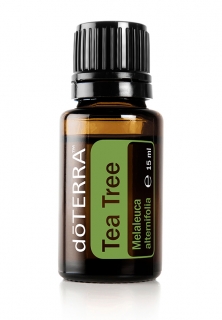 DoTerra Tea Tree (Melaleuca) Esenciálny olej čajovníkový 15 ml