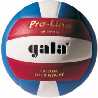 Volejbalový míč GALA Pro-Line - BV 5091 S